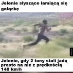 Jelenie