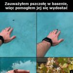 Pomocna dłoń