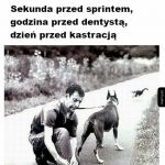 Sekundy przed tragedią