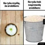 Ryż