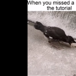 Kiedy coś przegapisz w tutorialu