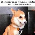 Każdy przeżyłby szok