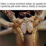 To by było ciekawe zjawisko