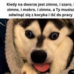 I zimno, i szaro, i zimno, i mokro, i zimno