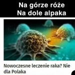 Poezja