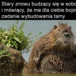 Bober