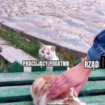 Patusy > Rząd > Pracujący Podatnik