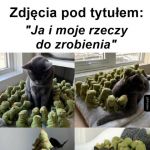 Ja i moje rzeczy do zrobienia
