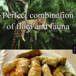 Perfect combination