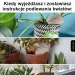 Instrukcje do podlewania kwiatów