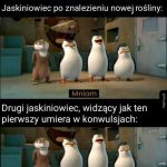Nowa roślina