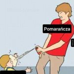 Pomarańcze