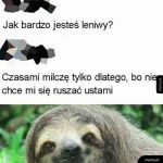 Wyższy poziom lenistwa