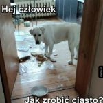 Chciałem ci zrobić