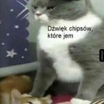 Zawsze