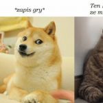 Teraz się pośmiejemy