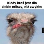 Podejrzane