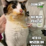 I to na pewno nie byłem ja