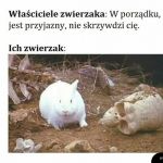 Ma zęby, więc może ugryźć
