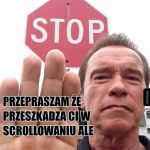 Arnold m&oacute;wi stop