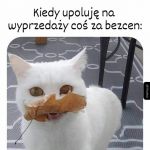 Kr&oacute;lowa szopingu