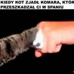 Dzięki