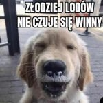 Złodziejaszek