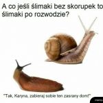 Zgoleni do zera