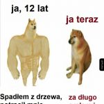 C&oacute;ż za słabość