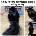 Sierść