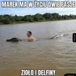 Pasja Marka
