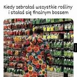 Ciągle zbieram - może kiedyś się uda