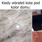 Wpasowały się