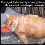 To tyle z motywacji