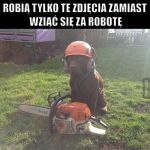 Pieseł