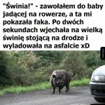 Chciałem pomóc.
