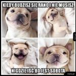 Sobota
