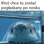 Zebrało się na pieszczotki