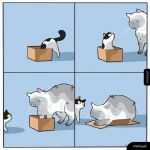 Też się zmieszczę