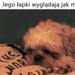 Łapki