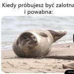 Prawie wyszło