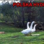Polonizowane mity