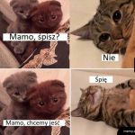 Ale mamo