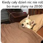 Jakoś nie można się zabrać