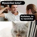Kwestia kota