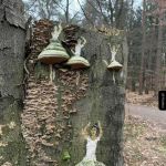 Hubowe sp&oacute;dniczki