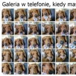 Galeria w telefonie