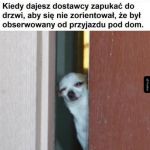 Trzeba stwarzać pozory