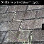 Snake