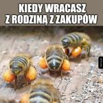 Duże zakupy